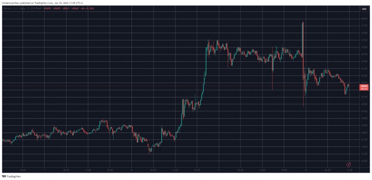 SEC-ETF 惨败后，比特币价格稳定在 4.5 万美元以上（市场观察）