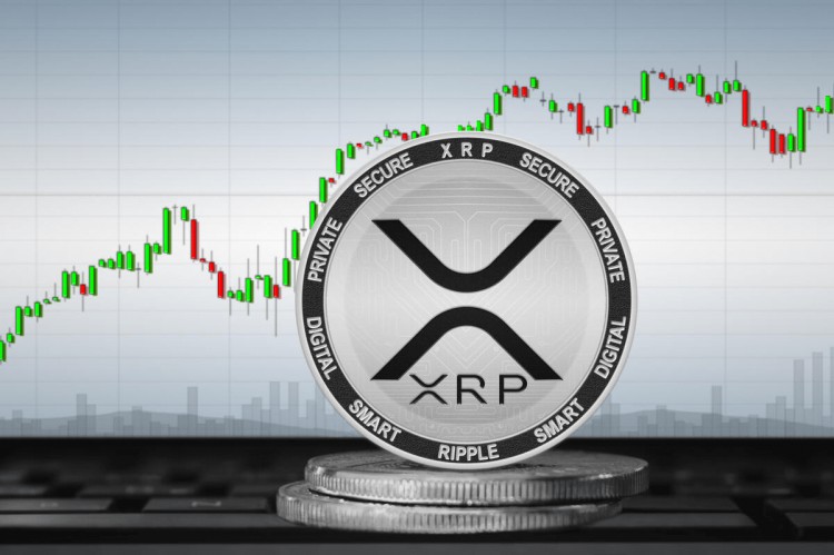 XRP百万富翁之谜