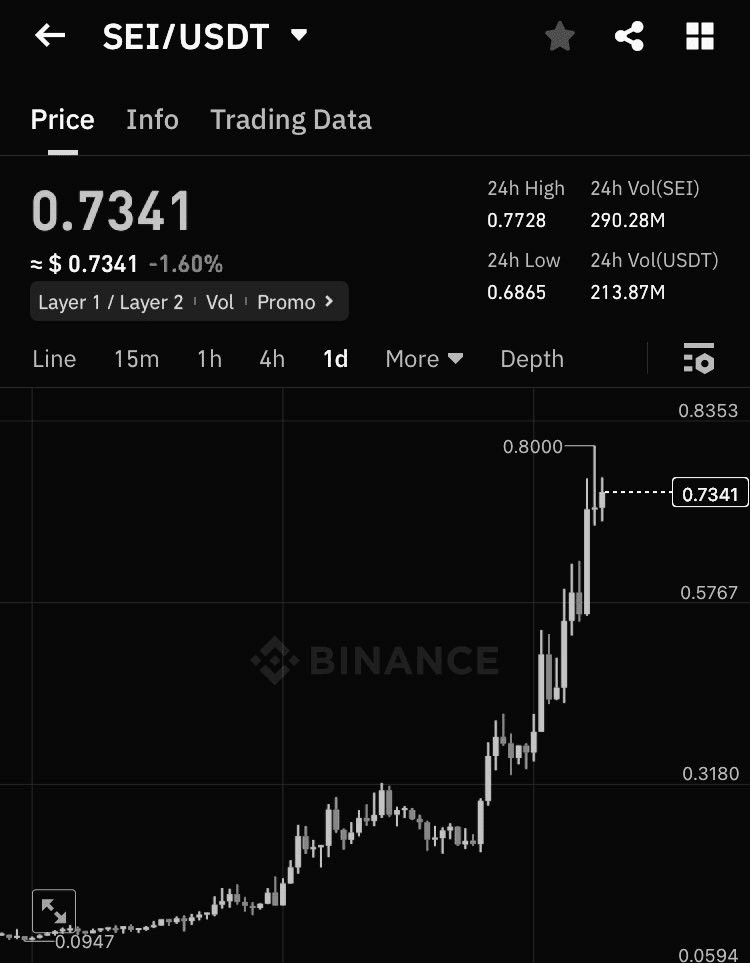 主题SEI资金将流入网络