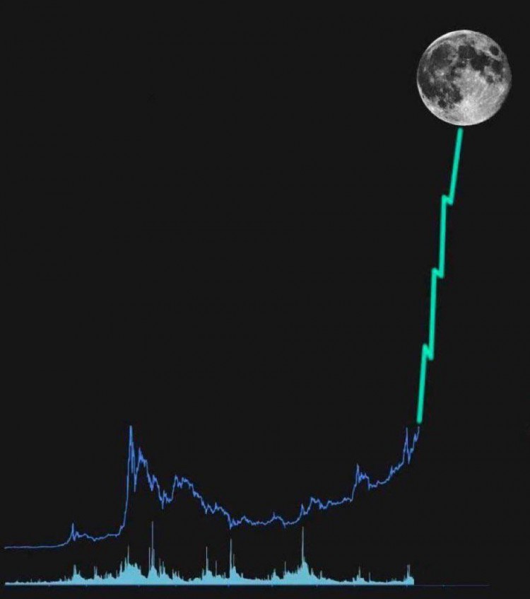 ALTLAYER见解的利润寻求者