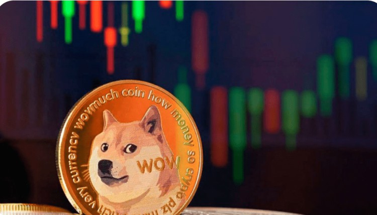 DOGE价格即将上涨分析师发出信号