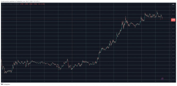 BTC跌破49万美元