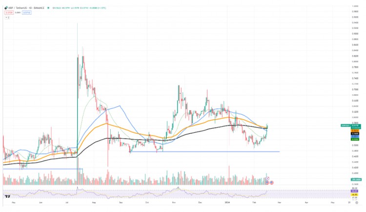 XRP 2024年价格关键水平预测