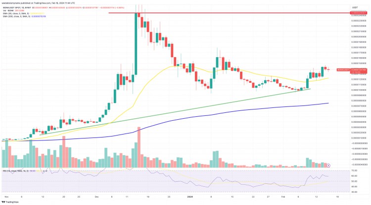 Bonk 价格在短短 7 天内暴涨 33%！