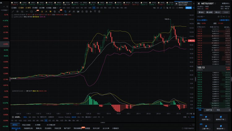 2024年真正的100倍硬币将只有这6种