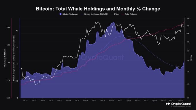 分析显示比特币鲸鱼又开始购买BTC据CRYPTOQUANT称鲸鱼加速积累是比特币牛市仍在