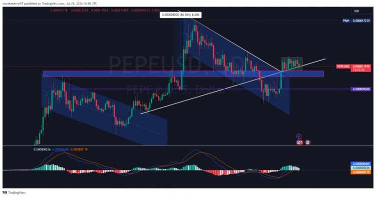 过去一周PEPE一直在盘整同时遵循关键支撑位79的PEPE持有者获利其中72