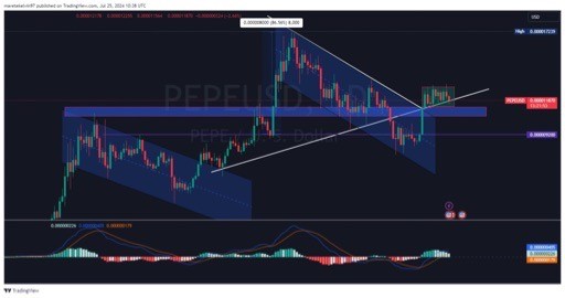 即将到来的PEPE集会你信任MEMCOIN是对的吗PEPE合并上周报告了关键的支持水平