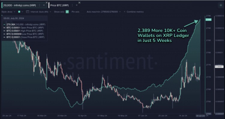 专家说忘记XRP到100美元或1000美元它首先需要跨越这一障碍