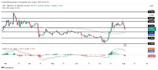 XRP在撞毁关键支撑后面临看跌压力眼睛04663美元XRP的价格最近经历了明显的看跌势头